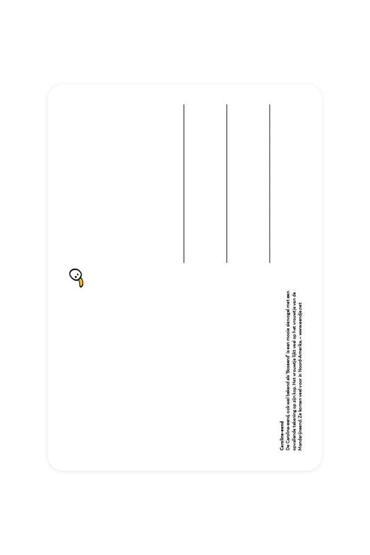 postal de Carolina Duck