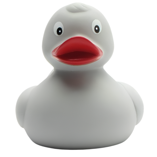 canard classique gris