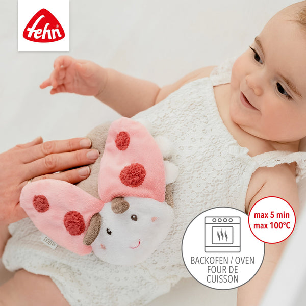 Kirschkernkissen Käfer