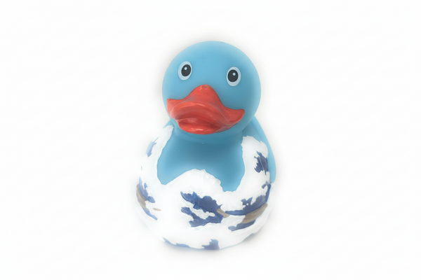 Canard Fuji Wave