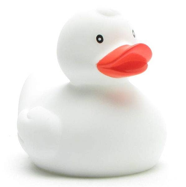 canard classique blanc