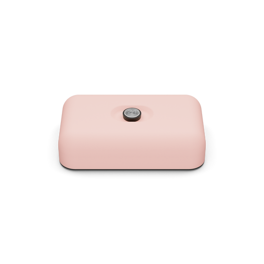 Lunch Box | Dusty Pink