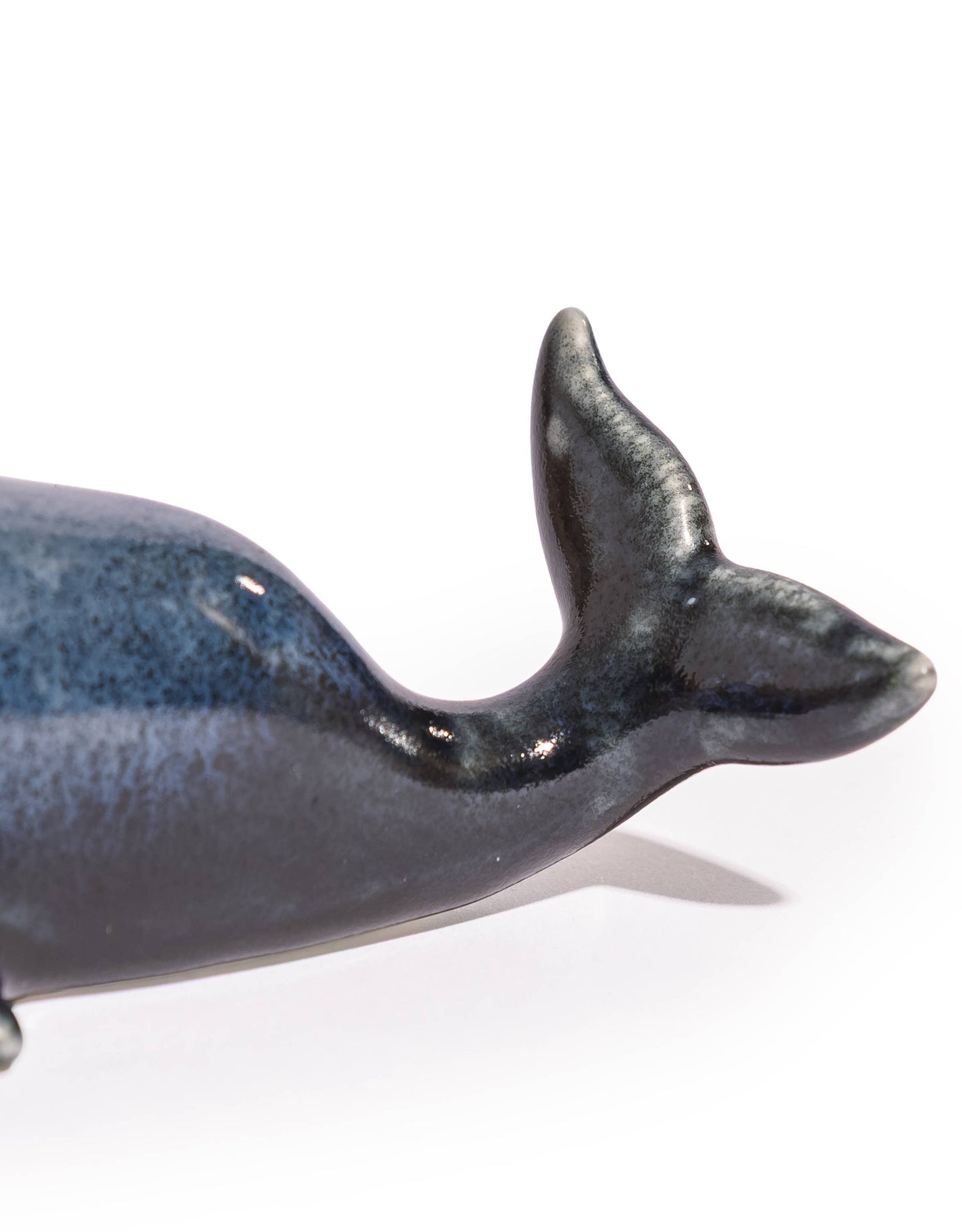 Sel et poivre Baleine bleue