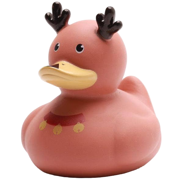 Canard Renne