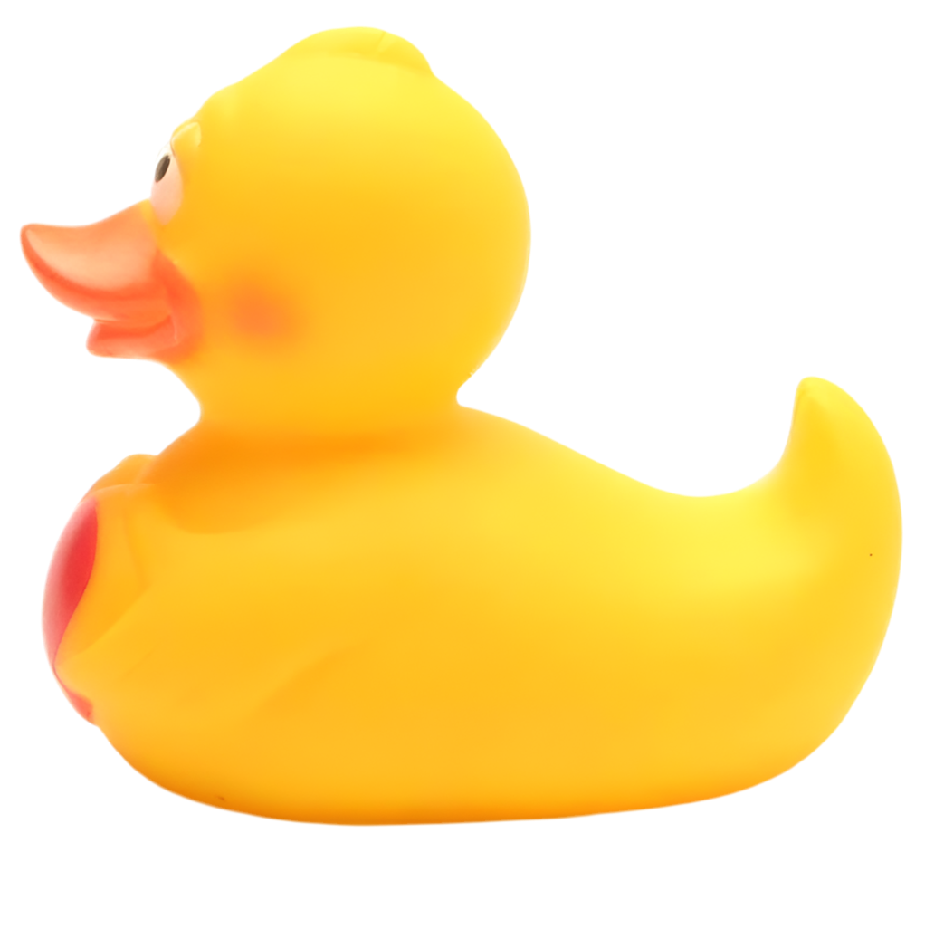 Canard avec Cœur
