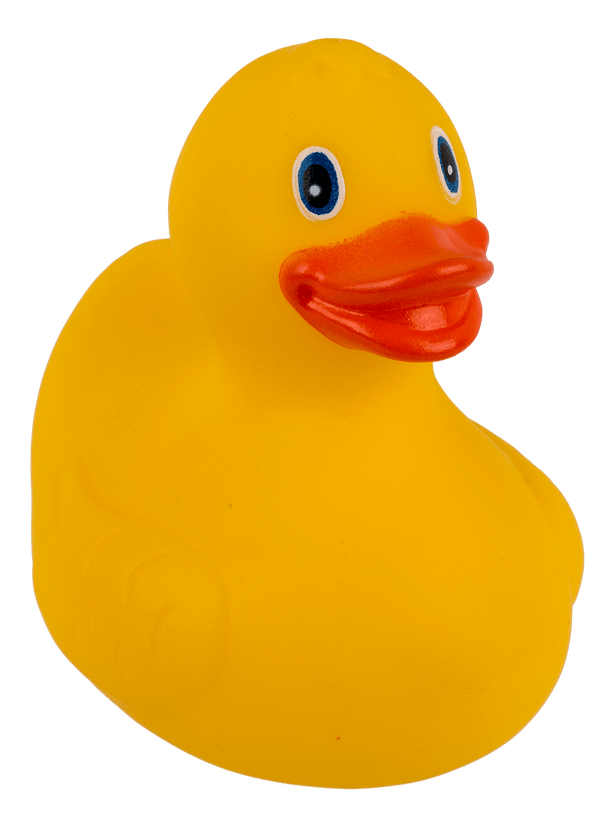 Yellow Squeaking Duck,