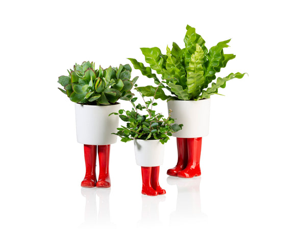 Pot de Fleur Bottes Wellington Rouge – Petit – Bitten