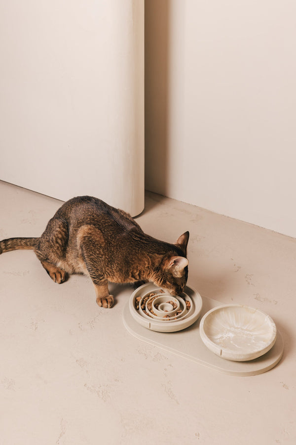 Comedouro anti-voracidade para gatos – vista do produto 2