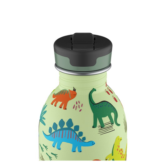 Kids Bottle | Jurassic Friends - 250 ml