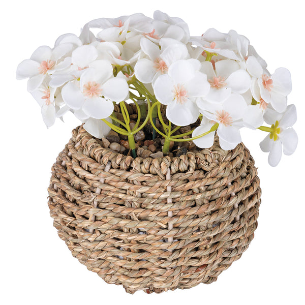 PRIMROSE PLANT RAFFIA POT H. 20CM - 2188531