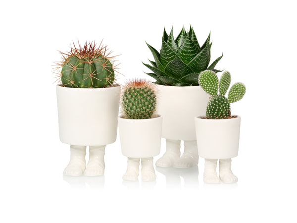 Pot de Fleur Sandale Gladiateur – Grand – Bitten