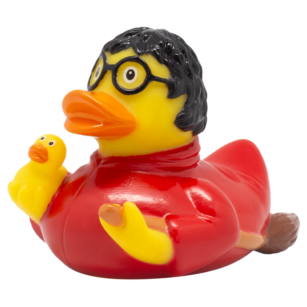 Canard Sorcier