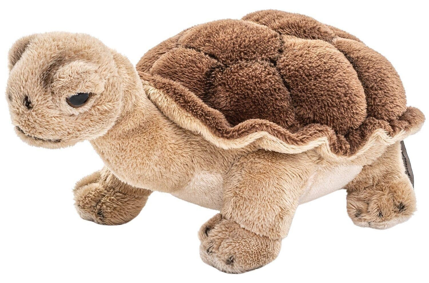 Tortuga - 19 cm (largo) - peluche