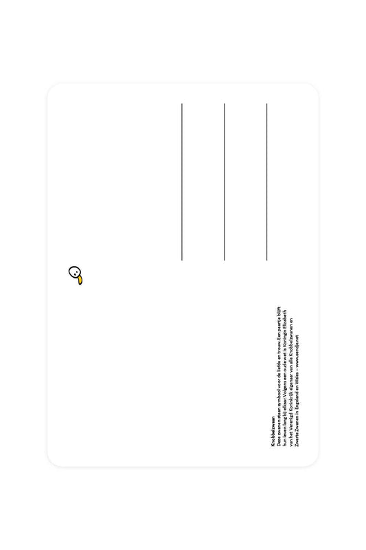 Carte postale avec cygne muet