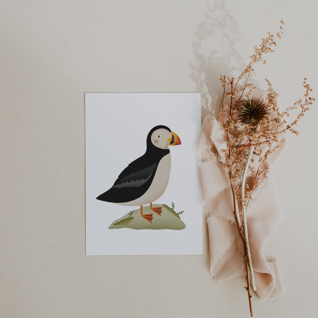 Puffin Greeting Card