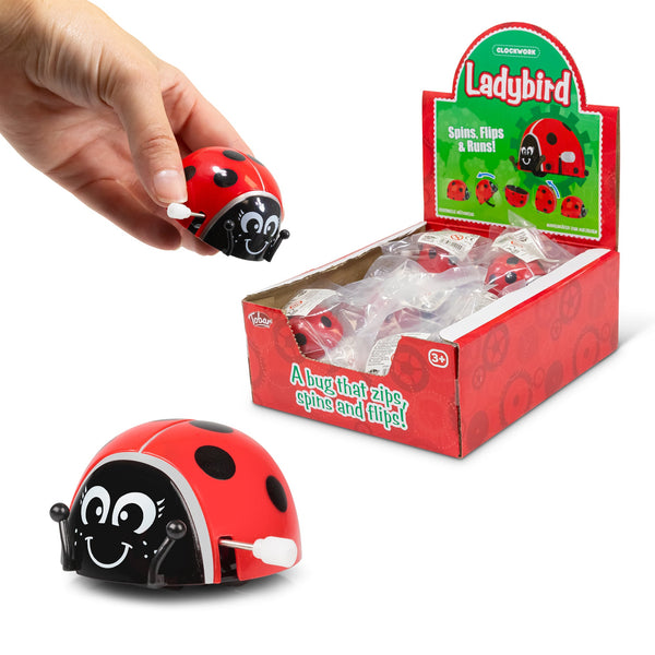 COCCINELLE À REMONTOIR