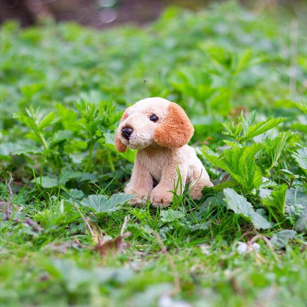 ANIMIGOS LE MONDE DE LA NATURE MINI COCKAPOO