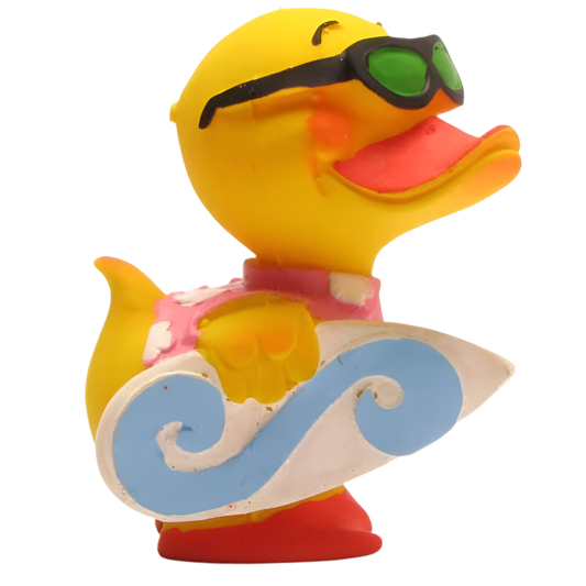 canard surfeur lanco