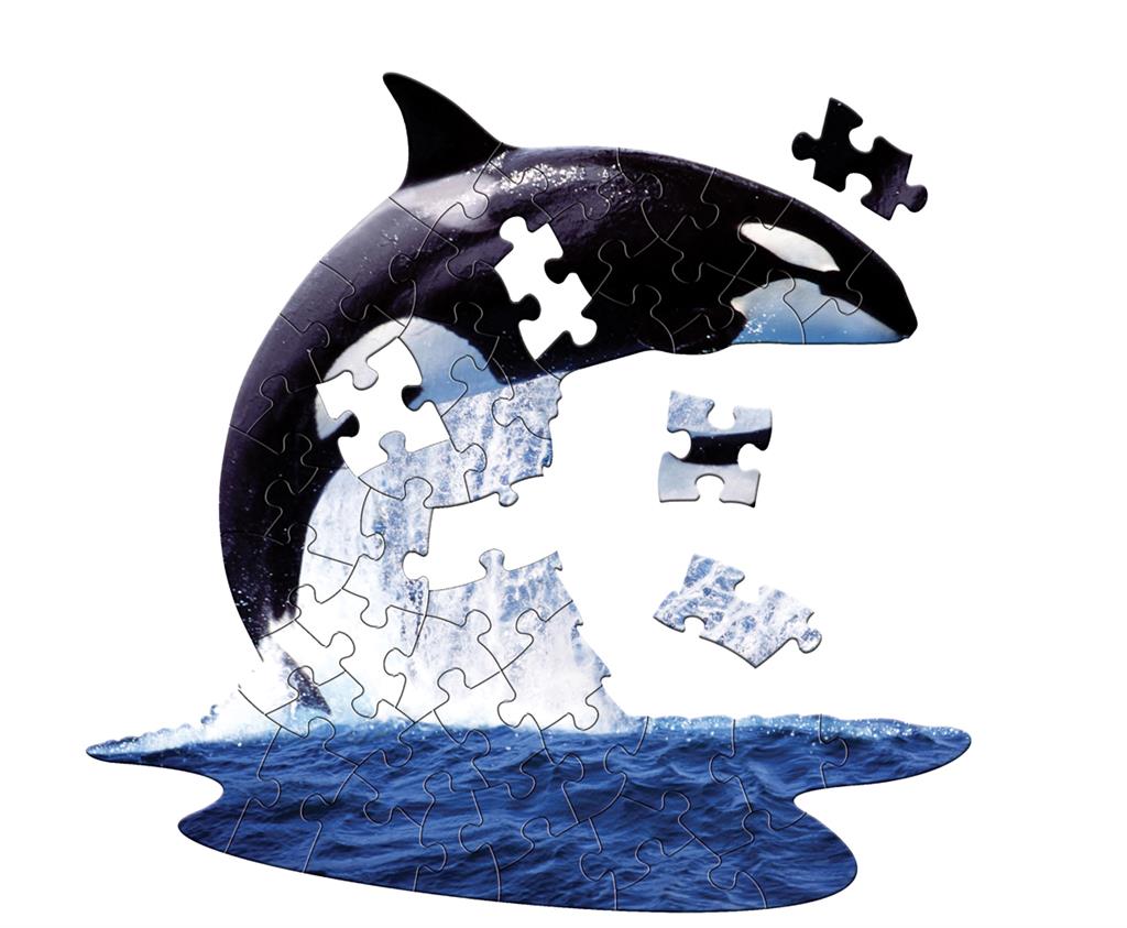 Orca Puzzle