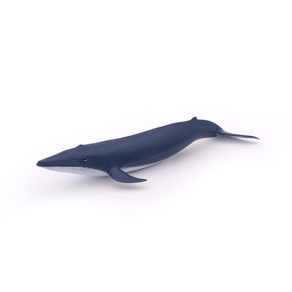 Figurine Bébé baleine bleue Papo - animal marin