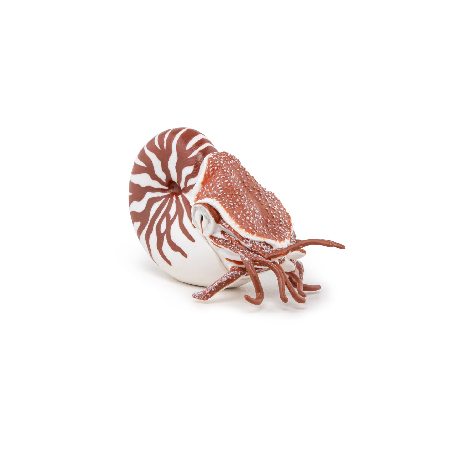 Nautilus Figurine