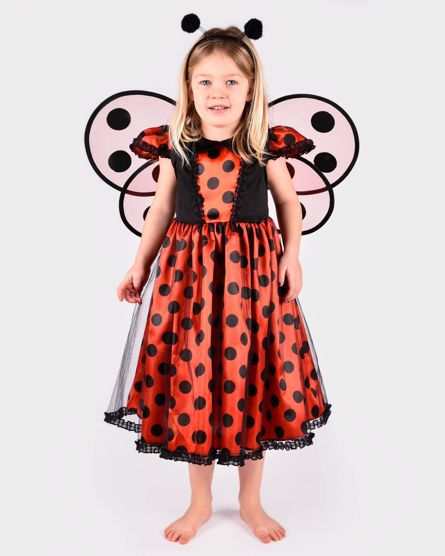 Ladybug dress with accessories for 2-4 years (size 98-104 cm)