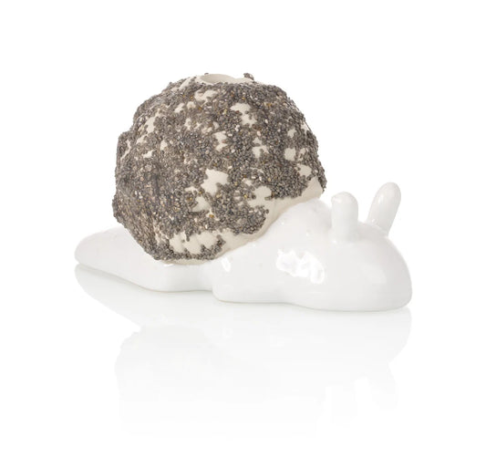 planteur de chia escargot bitten