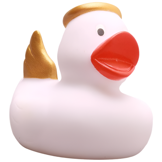 canard ange blanc
