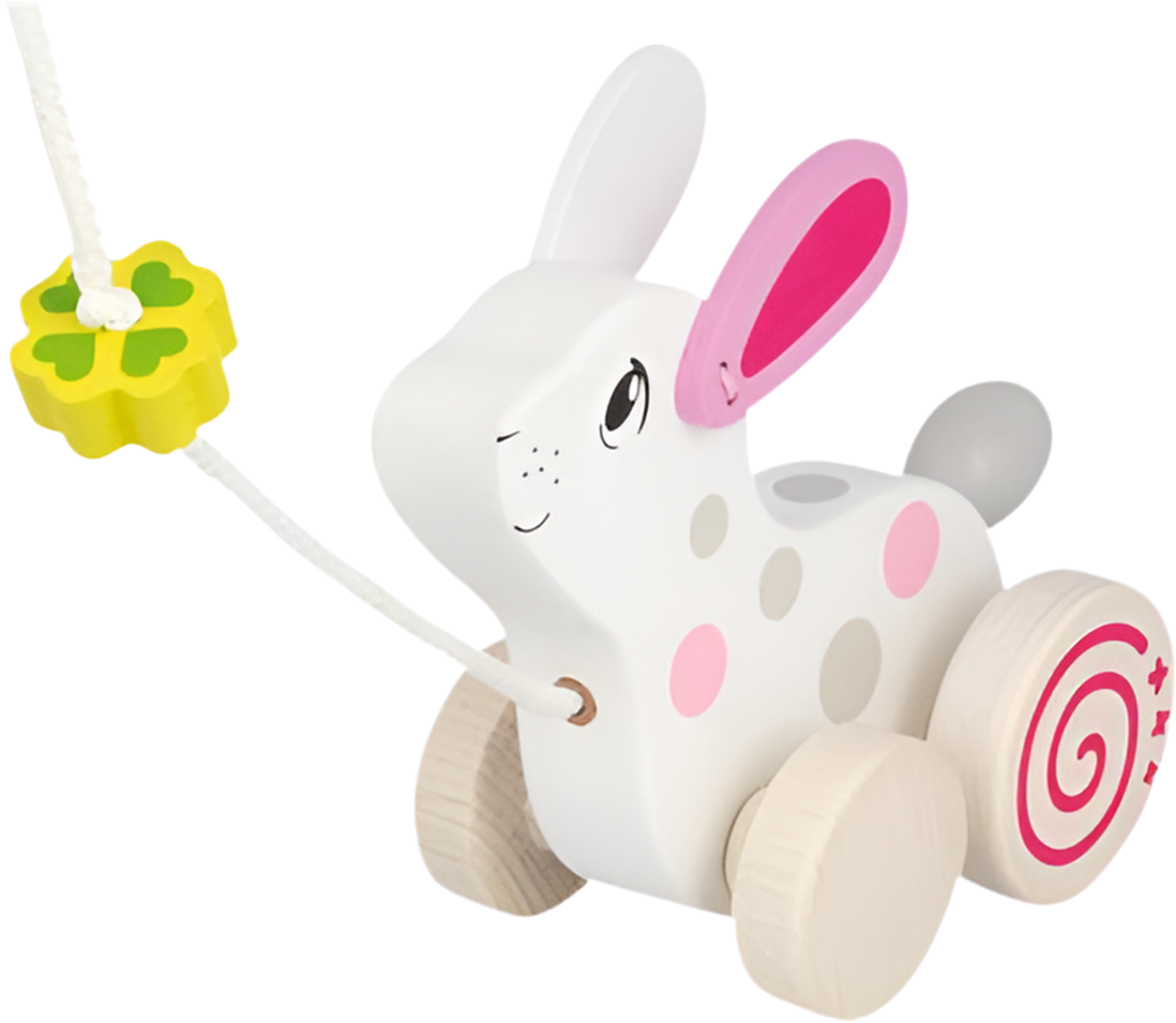 Animal para tirar - Conejo