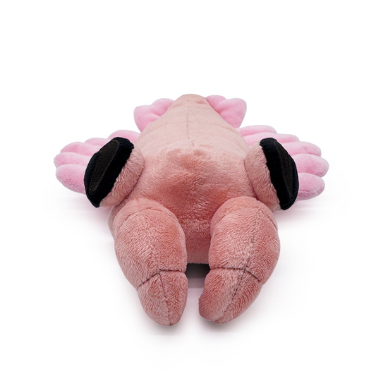 アノマロカリス ぬいぐるみ (23cm)
