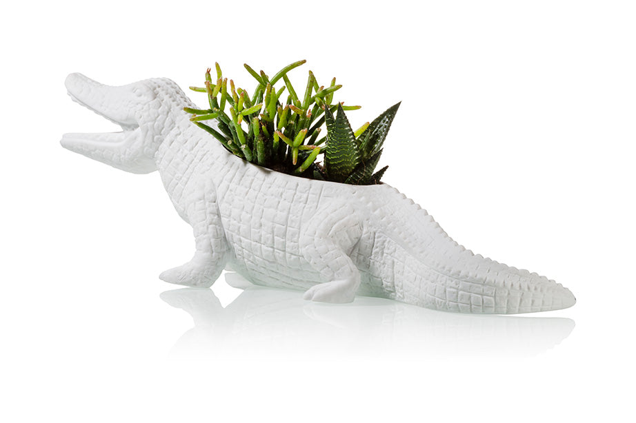 Pot de Fleur Crocodile