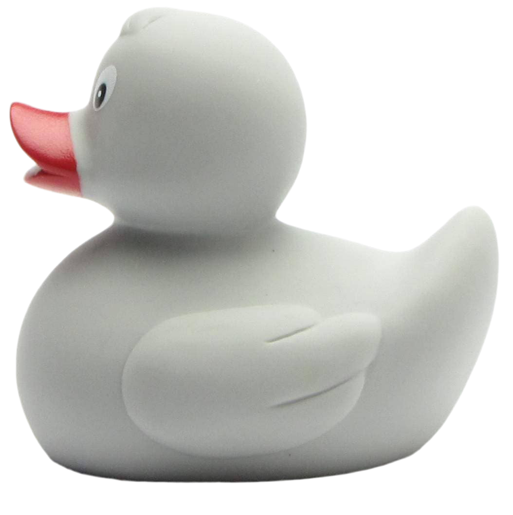 canard classique gris