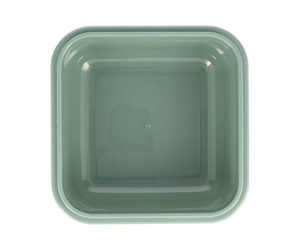 Fiambrera grande del mundo de los dinosaurios