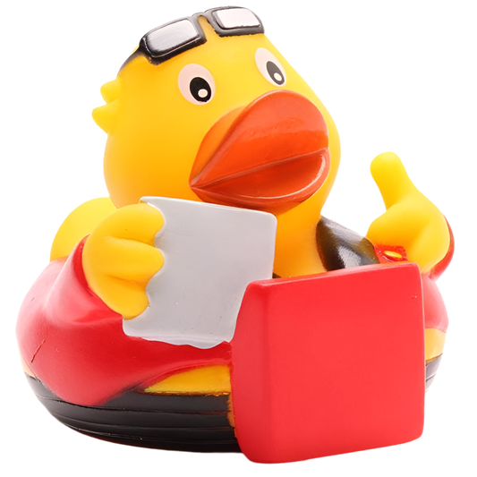 canard livreur de pizzas m e s