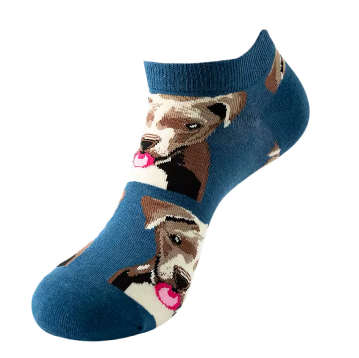 chaussettes courtes pitbull mrcol