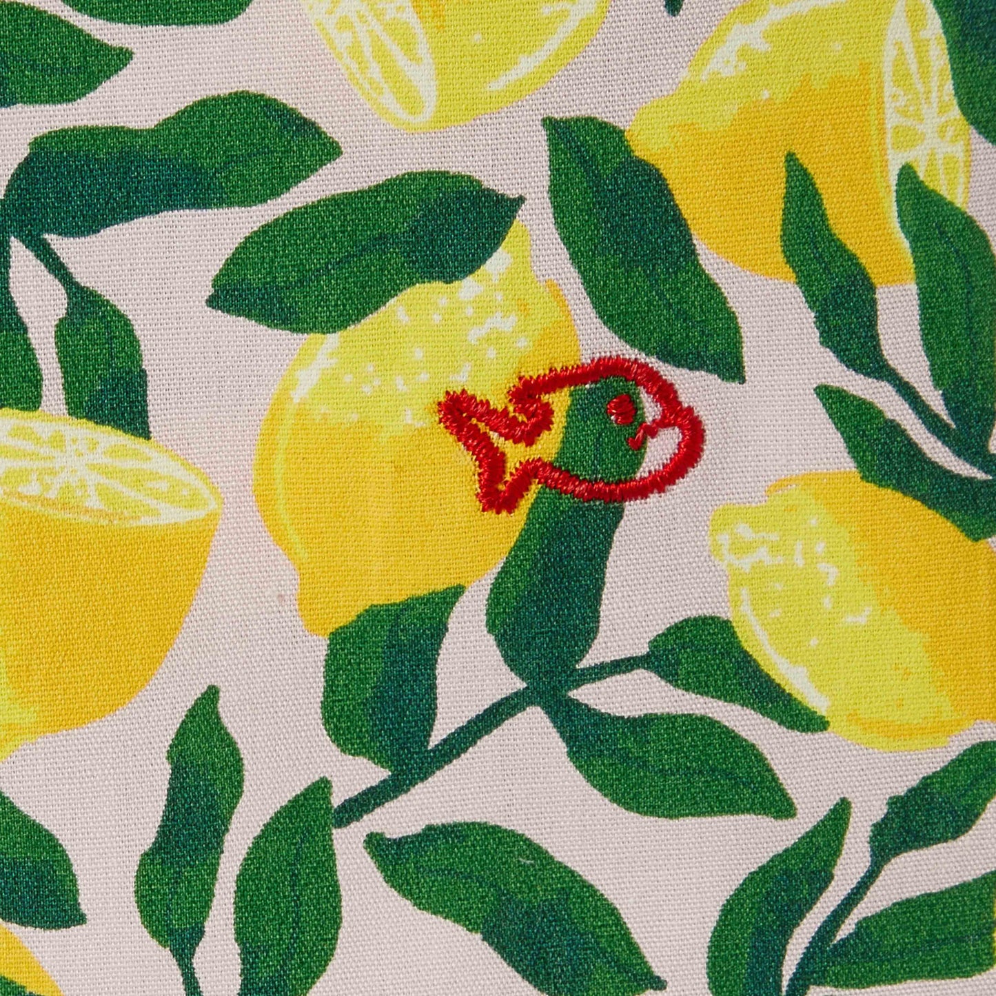 Caleçon en Coton 100% Biologique - Citrus