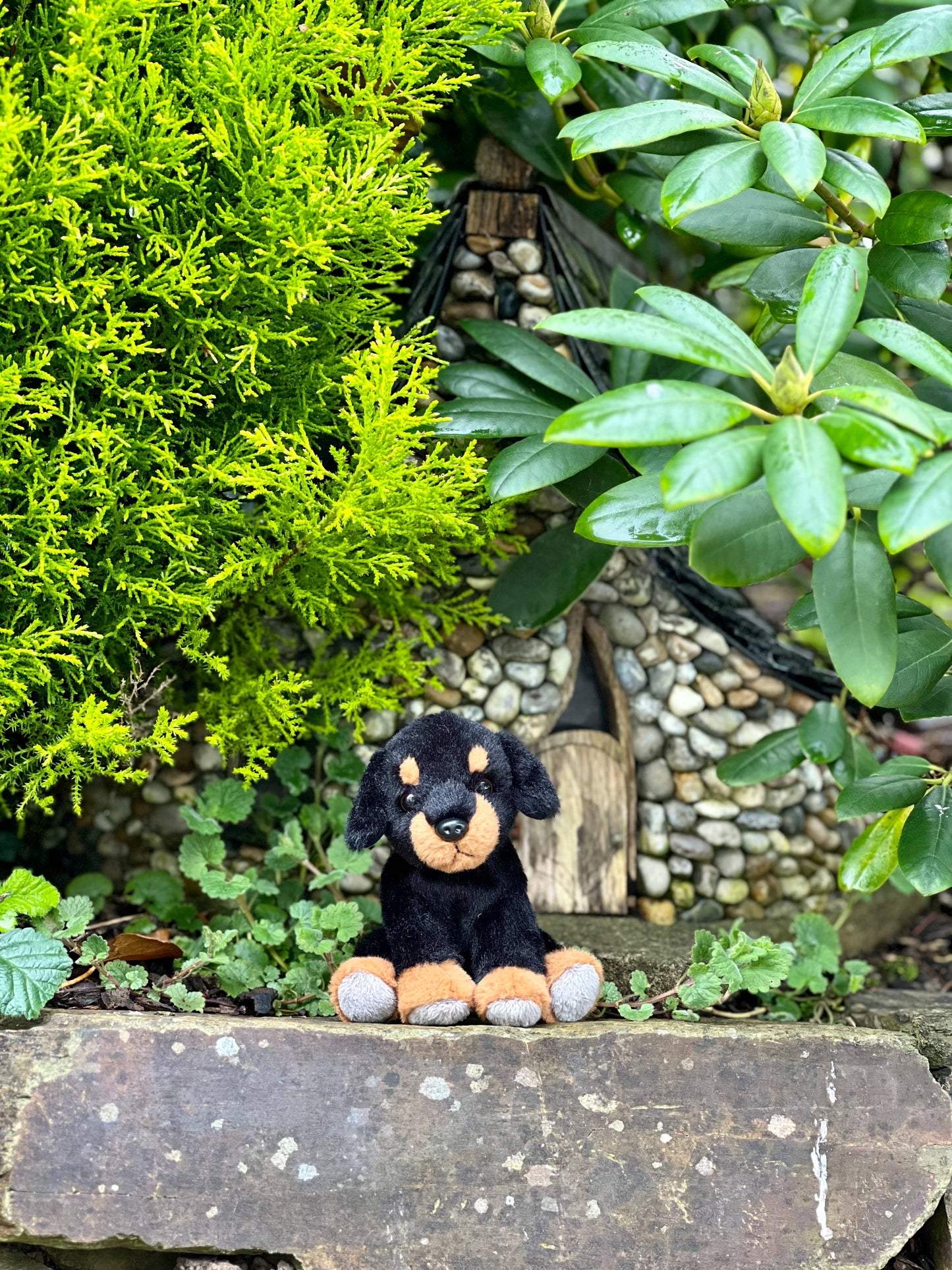 Peluche Cuddle Cub Rottweiler
