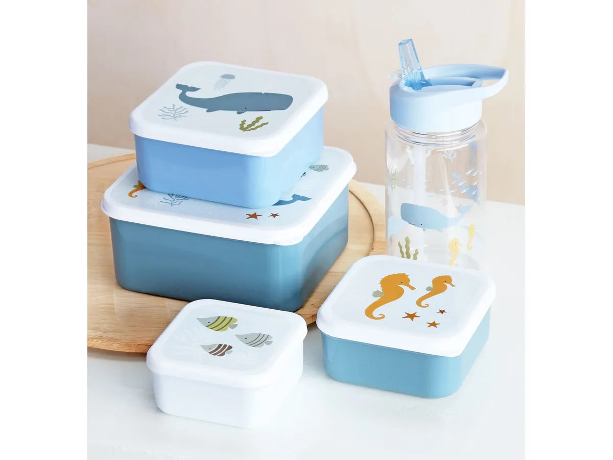 Pack of 4 Snack and Lunch Boxes - Ocean