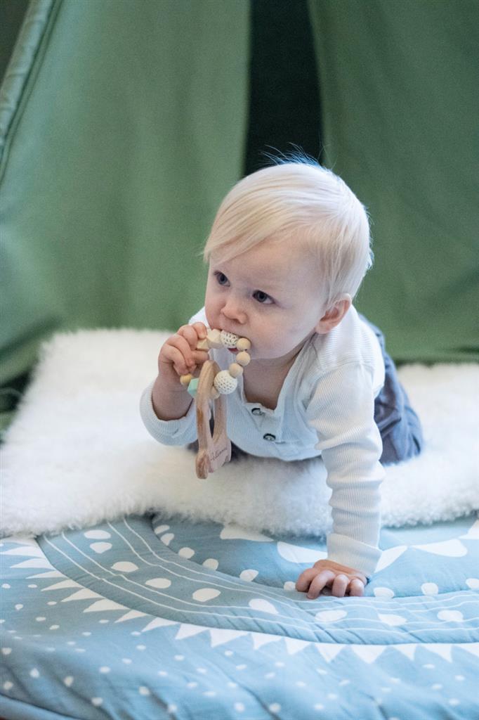 Anillo de dentición de Rocket Darling