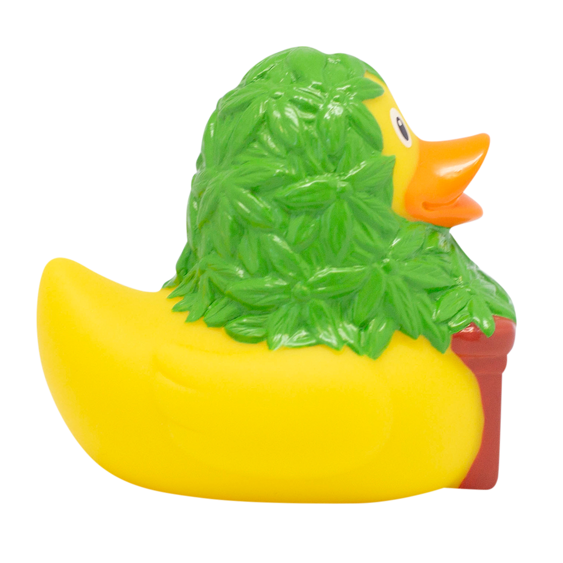 Pato de cannabis