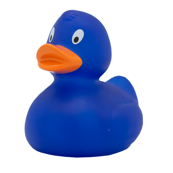 Anatra blu classica