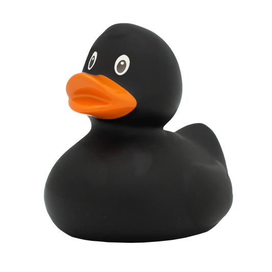 Pato negro clásico