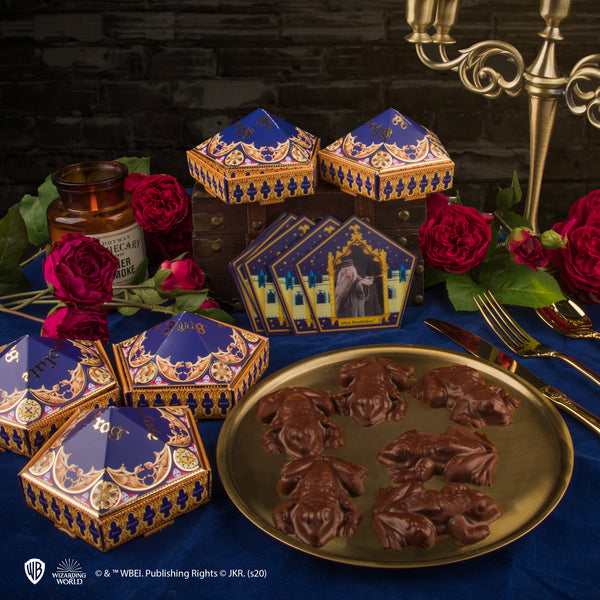 Chocolate Frog Mould + 12 magical cards + 6 Chocolate Frog boxes (new edition)