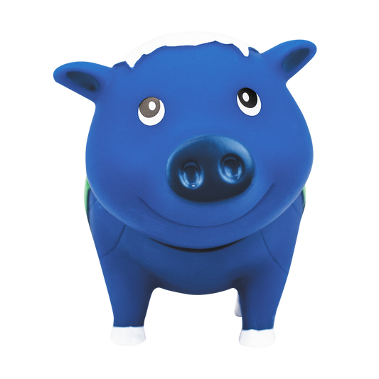 Globo terráqueo Cerdo