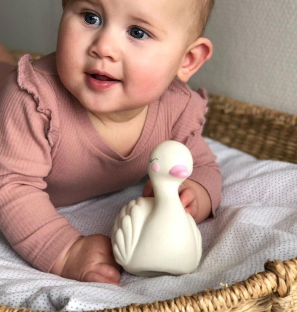 Cisne de dentición