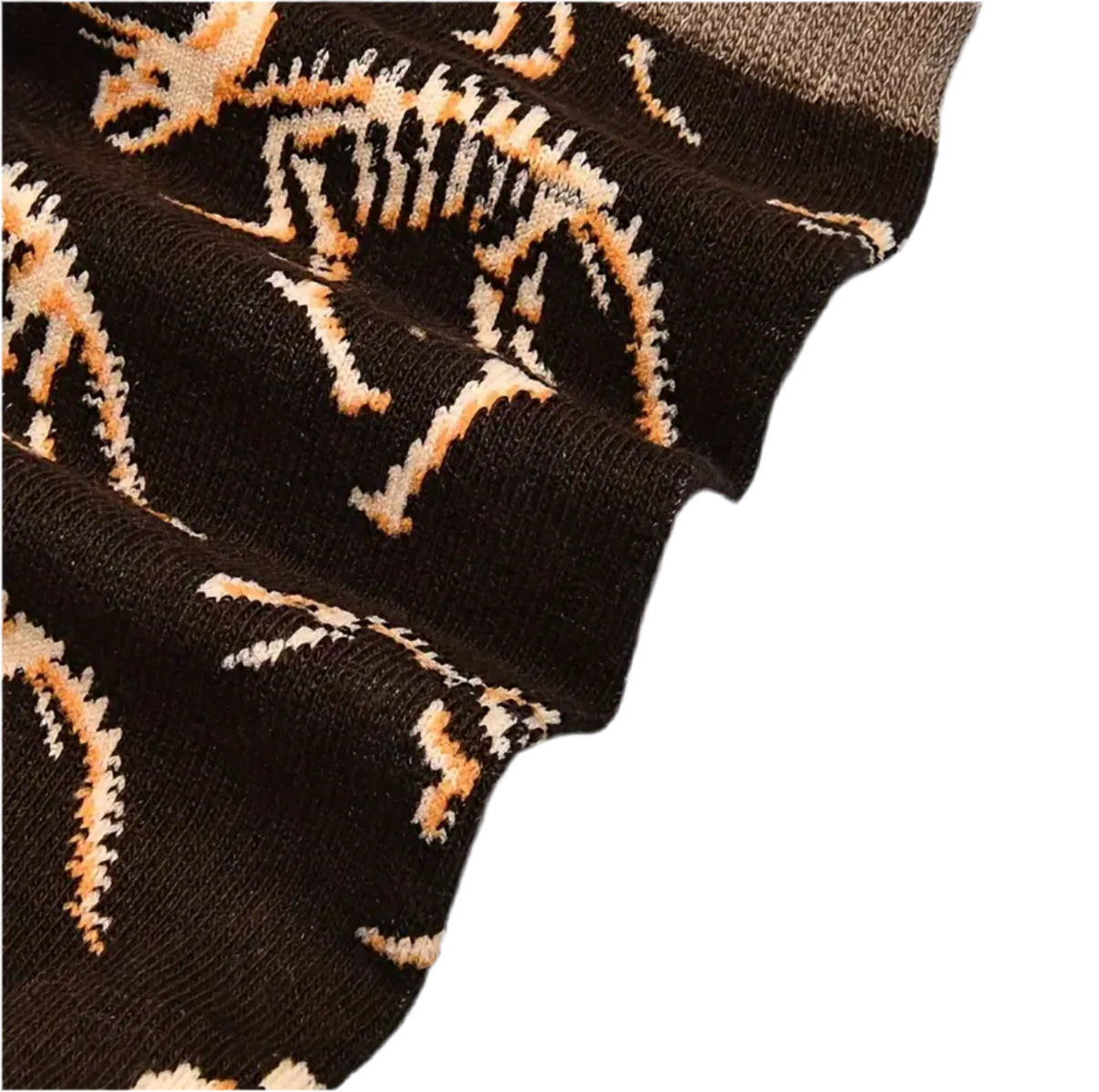 Chaussettes Fossiles de Dinosaures