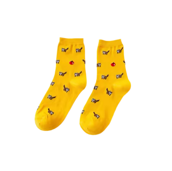 Chaussettes Raton Laveur