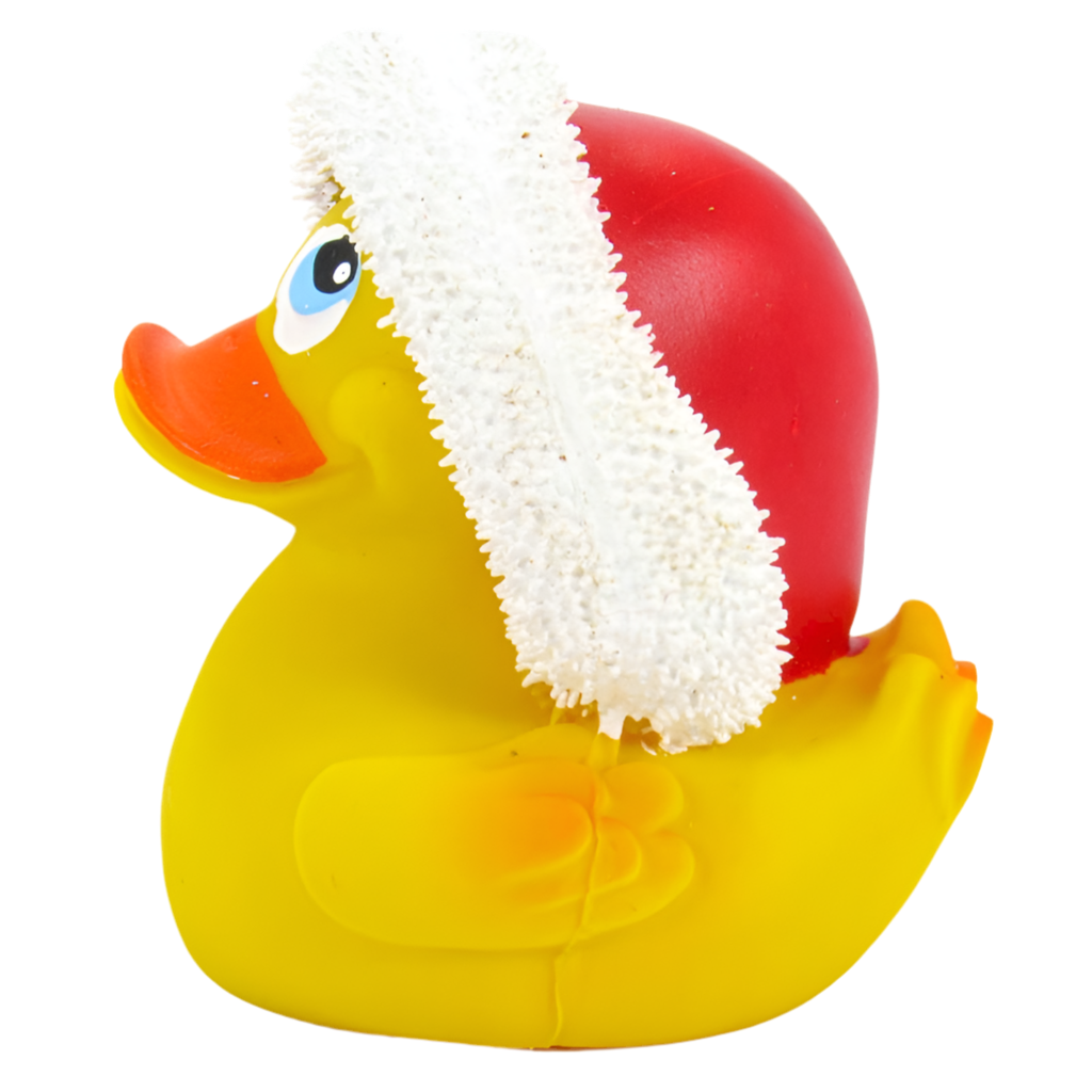 Canard Bonnet de Noël