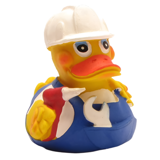 canard bricoleur lanco