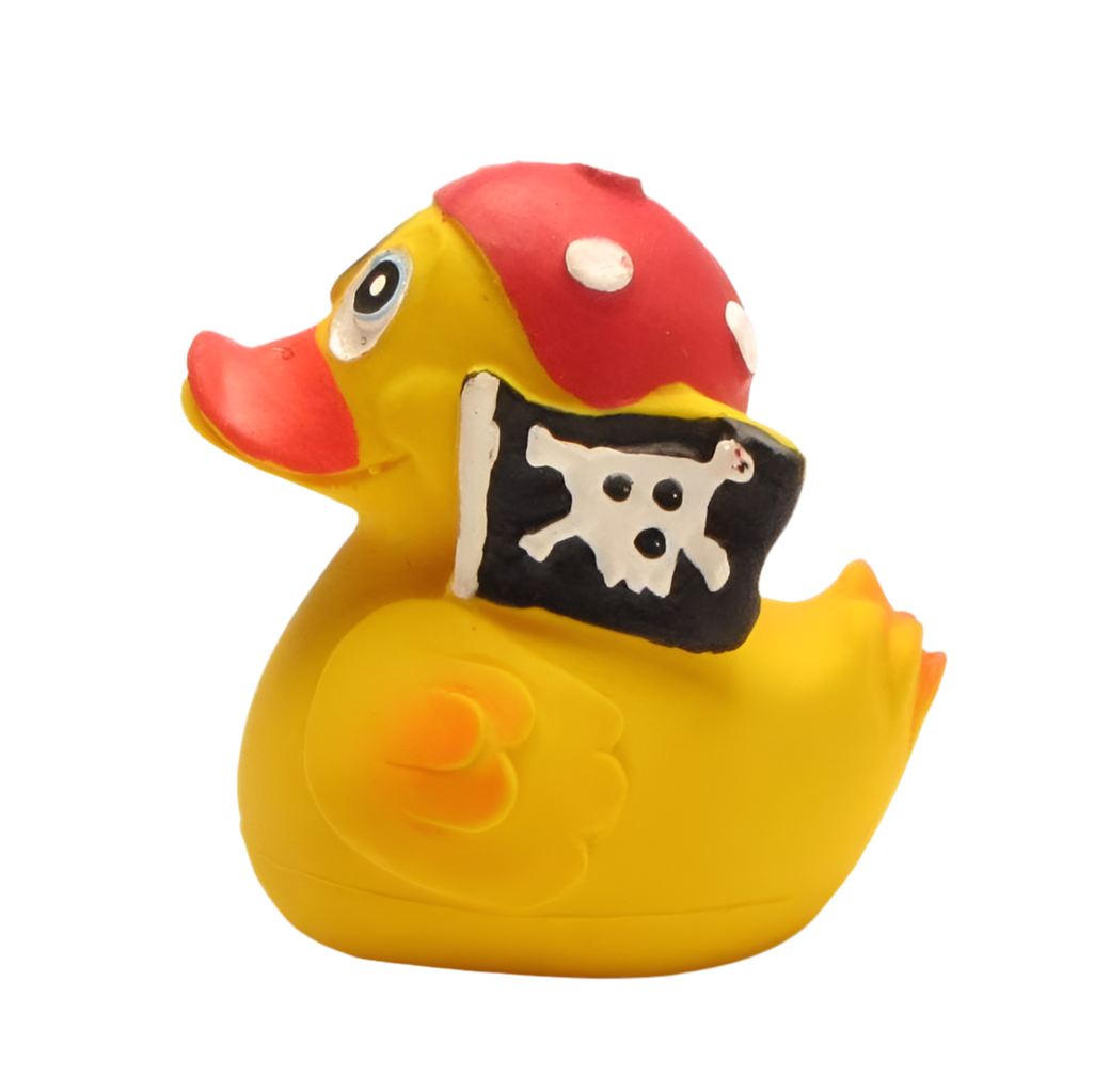 Pato pirata